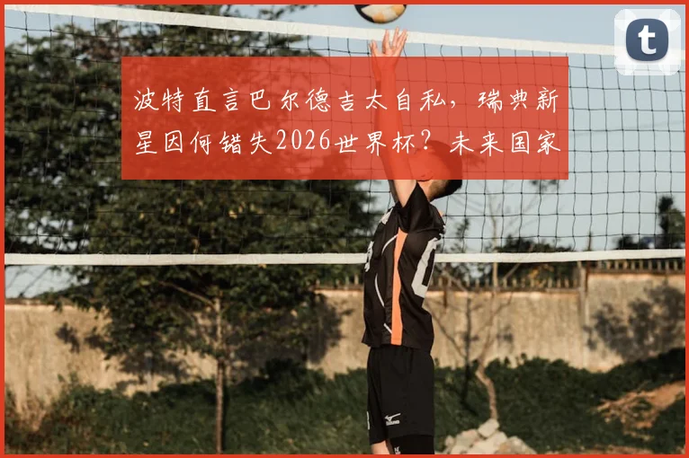 波特直言巴尔德吉太自私,瑞典新星因何错失2026世界杯?未来国家队之路解析